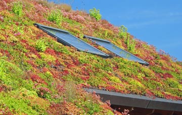 Lower Failand living roof systems
