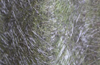 Lower Failand fibreglass roof work